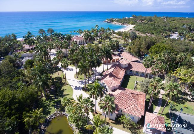 Villa in Terres Basses - Chateau des Palmiers