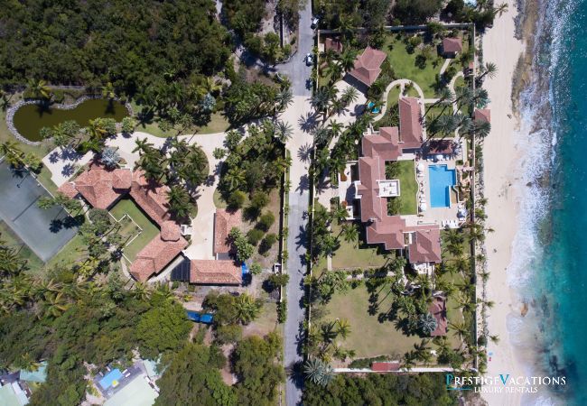 Villa in Terres Basses - Chateau des Palmiers