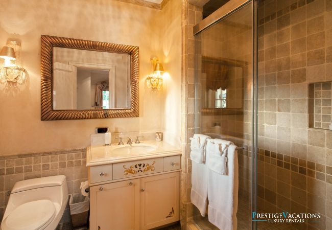 Villa in Terres Basses - Chateau des Palmiers