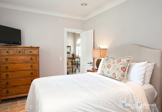 Villa in Terres Basses - Chateau des Palmiers