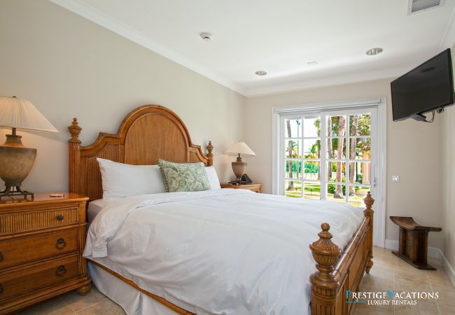 Villa in Terres Basses - Chateau des Palmiers