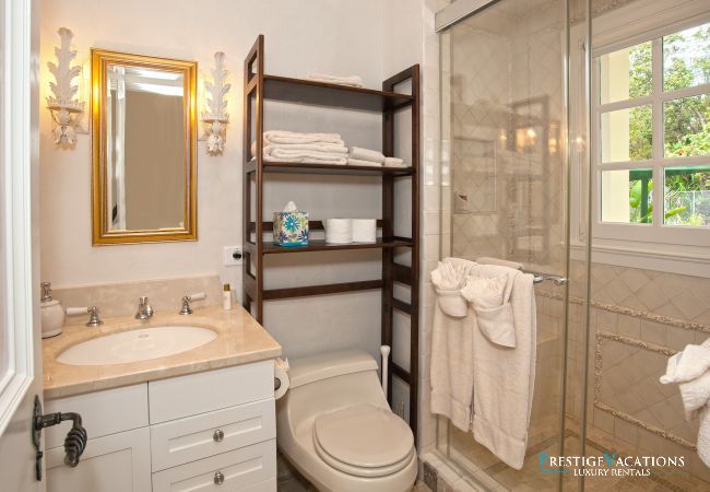 Villa in Terres Basses - Chateau des Palmiers