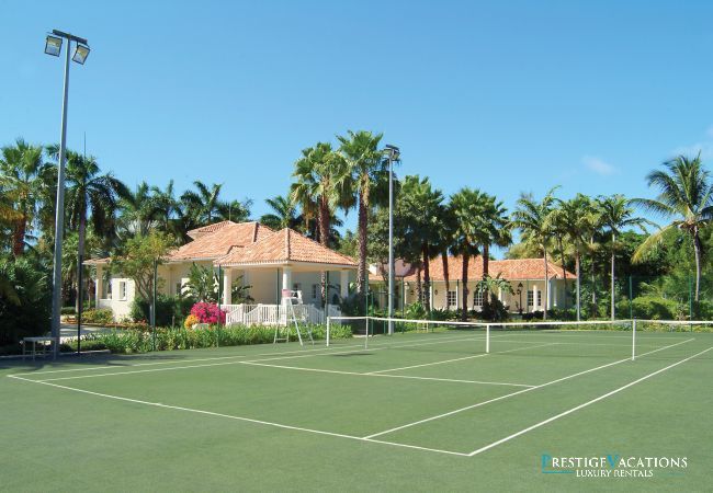 Villa in Terres Basses - Chateau des Palmiers