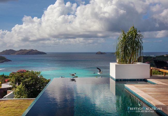 Villa in Saint Barthélemy - Wings