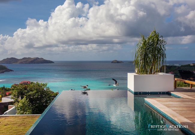 Villa in Saint Barthélemy - Wings