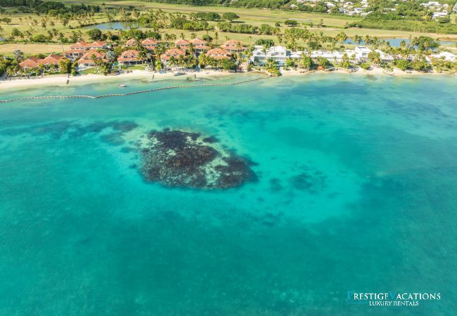 Villa in Saint-François - Caribe *****