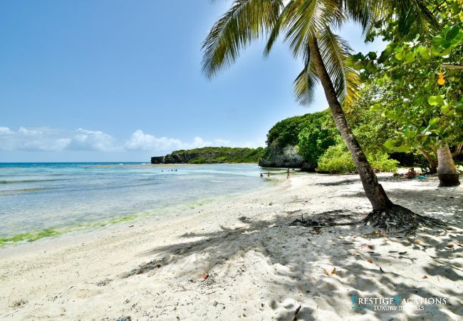 Villa in Le Gosier - Karukera Guadeloupe