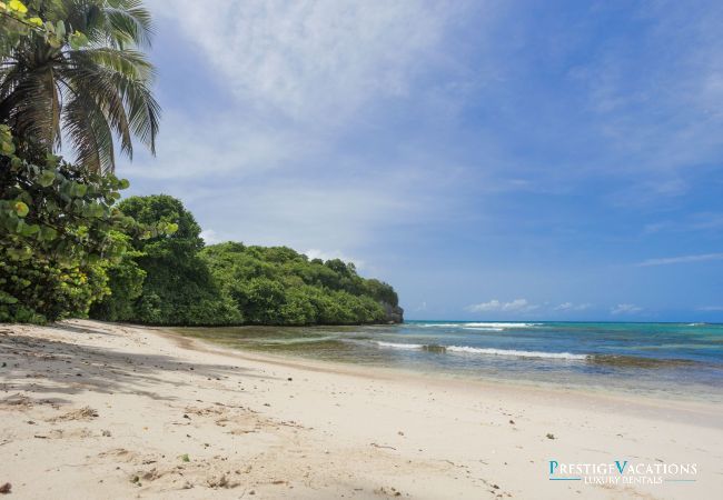 Villa in Le Gosier - Karukera Guadeloupe