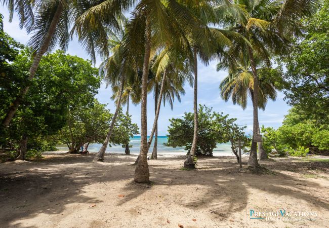 Villa in Le Gosier - Karukera Guadeloupe