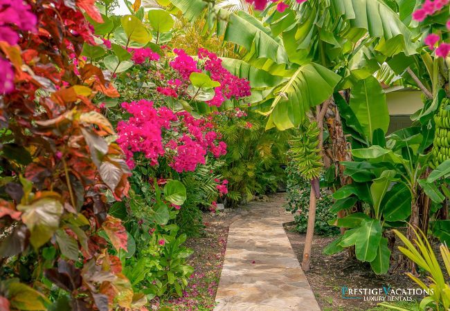 Villa in Saint-François - Beach 8 Guadeloupe