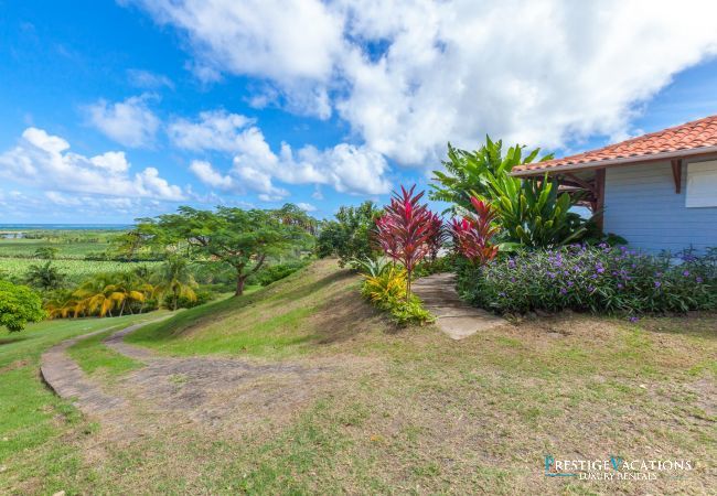 Villa in Le Vauclin - Plein Ciel