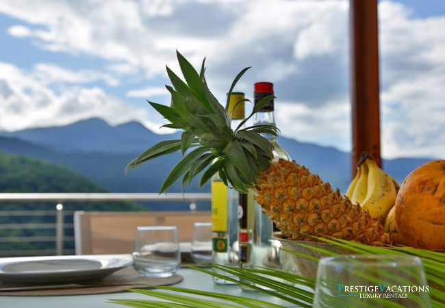 Villa in Bouillante - Malendure