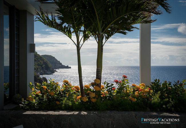 Villa in Saint Barthélemy - Axel Rock