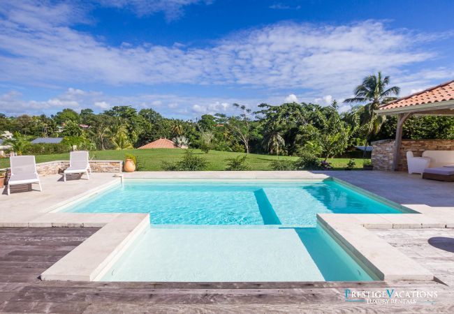 Villa in Petit-Bourg - Pineapple ****