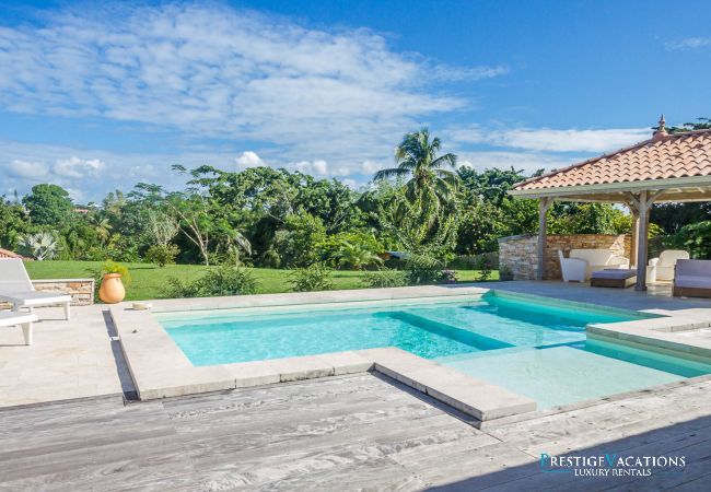 Villa in Petit-Bourg - Pineapple ****