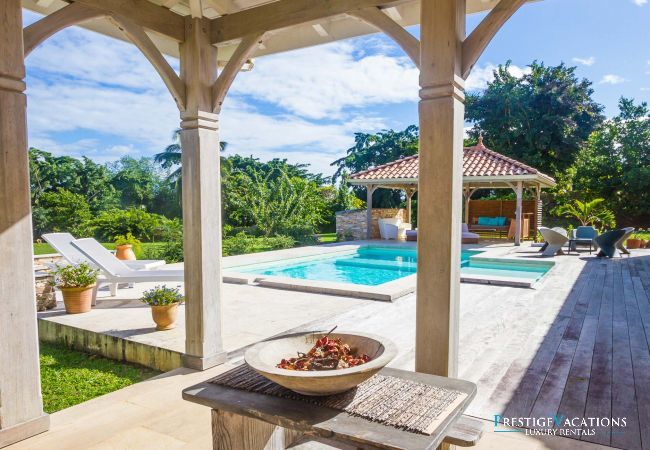 Villa in Petit-Bourg - Pineapple ****