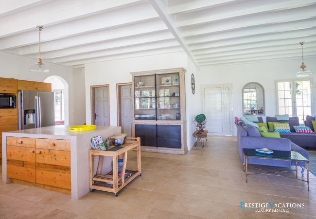 Villa in Petit-Bourg - Pineapple ****