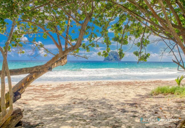 Villa in Le Diamant - Sand Beach