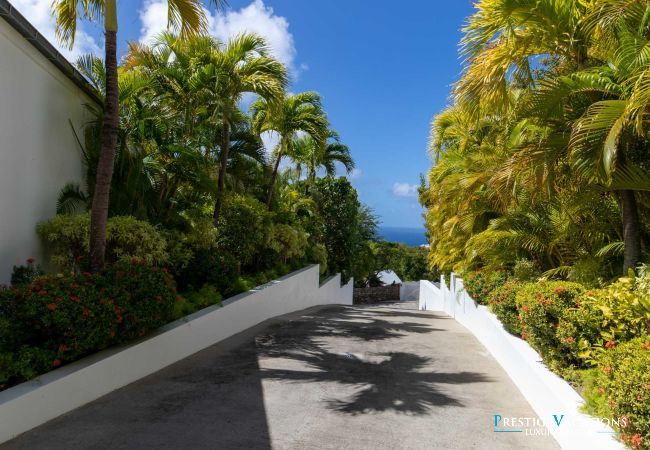 Villa in Saint Barthélemy - Bellissima