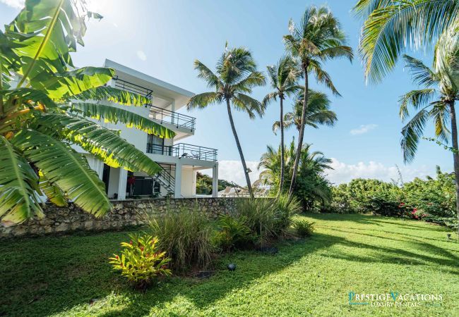 Villa in Sainte-Anne - Paula 18