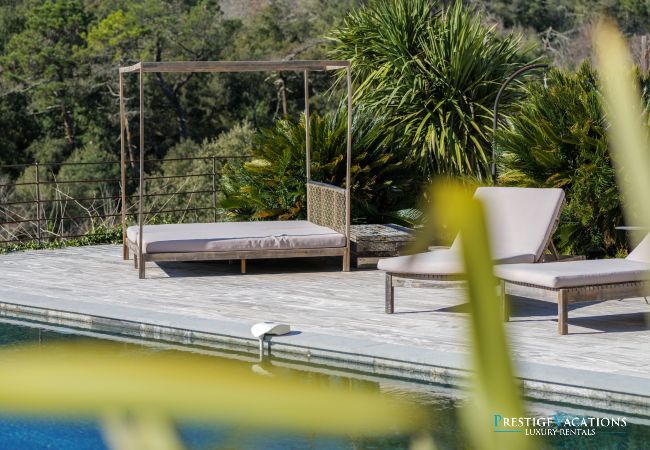 Villa in Saint Paul de Vence - Domaine Anne