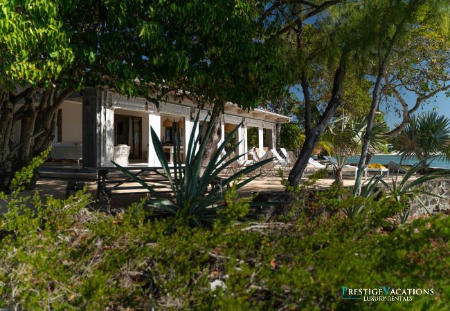 Villa in Roches Noires - Lilot