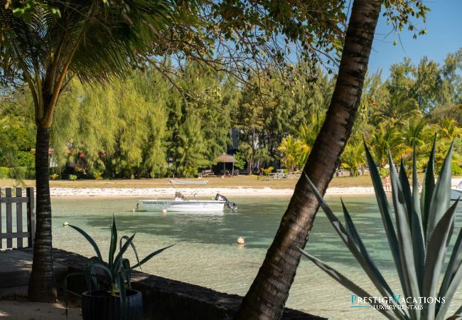 Villa in Roches Noires - Lilot
