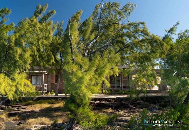 Villa in Roches Noires - Lilot