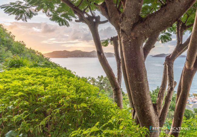 Villa in Saint Barthélemy - Alex