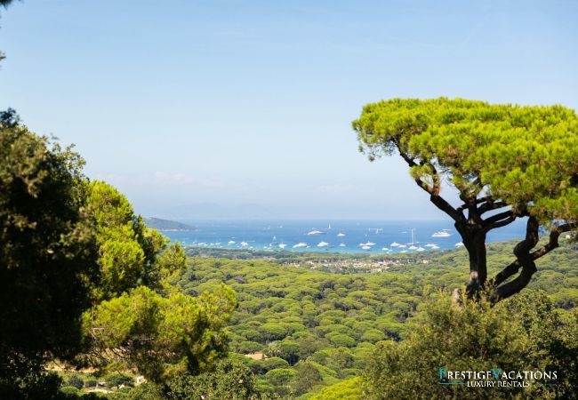 Villa in Ramatuelle - Symphonie