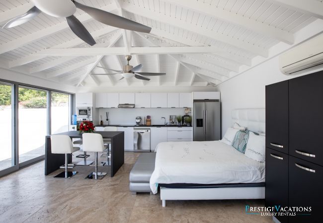 Villa in Terres Basses - El Grande Azure