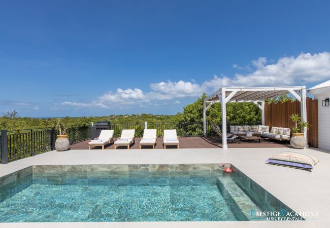 Villa in Terres Basses - Les Oliviers