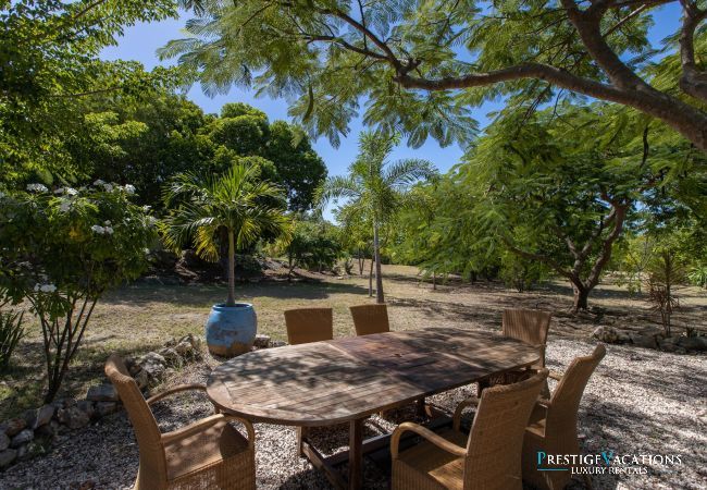 Villa in Terres Basses - Les Oliviers