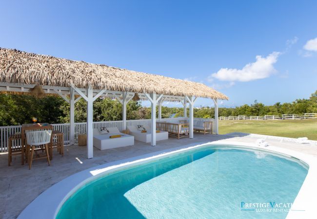Villa in Terres Basses - Madinina