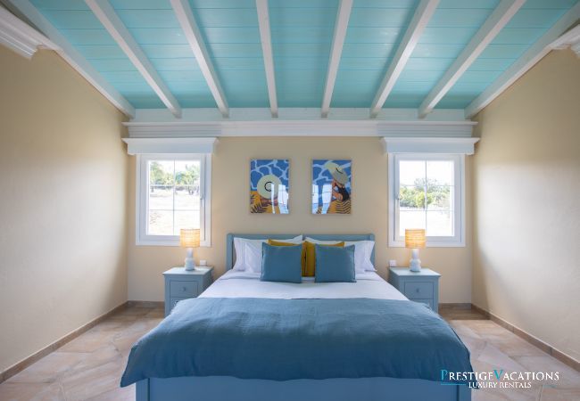 Villa in Terres Basses - Amber