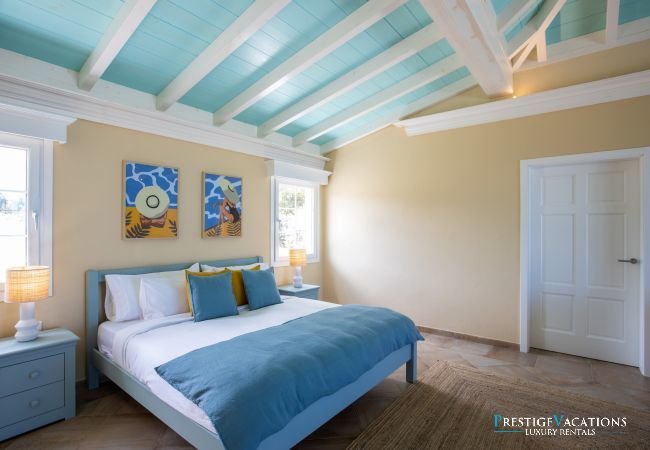 Villa in Terres Basses - Amber