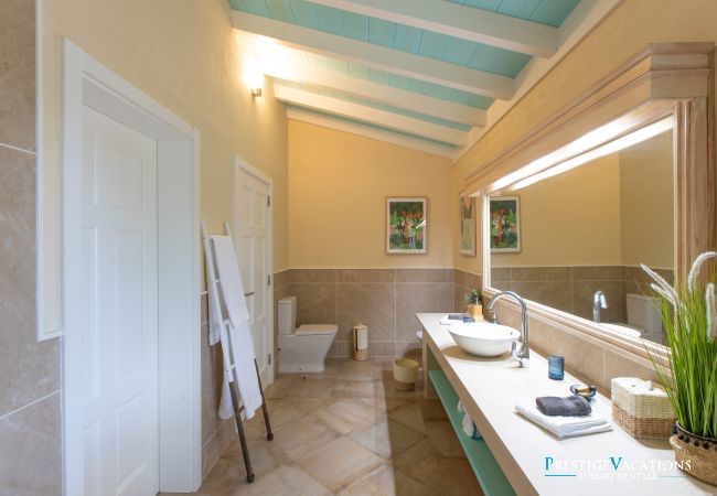 Villa in Terres Basses - Amber