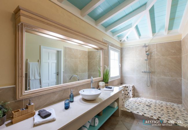 Villa in Terres Basses - Amber