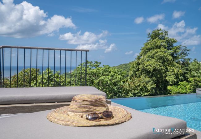 Villa in Schoelcher - Luzea *****