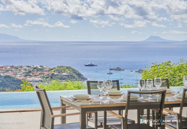 Villa in Saint Barthélemy - Cactus