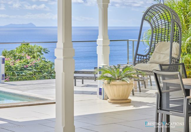 Villa in Saint Barthélemy - Cactus