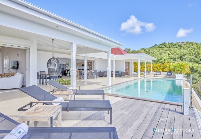 Villa in Saint Barthélemy - Cactus