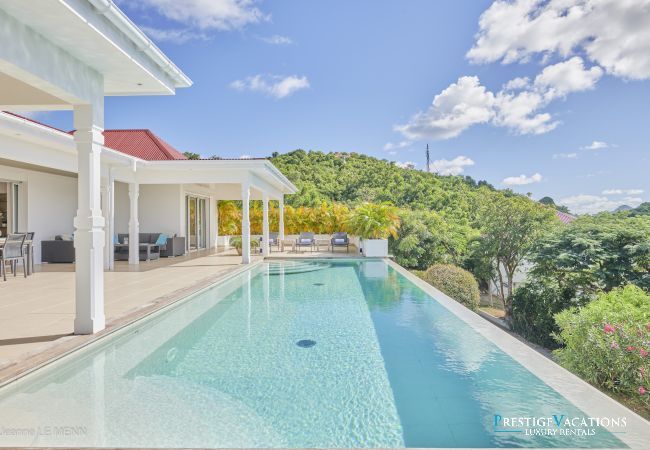 Villa in Saint Barthélemy - Cactus