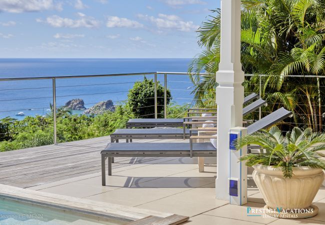 Villa in Saint Barthélemy - Cactus