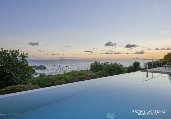 Villa in Saint Barthélemy - Cactus