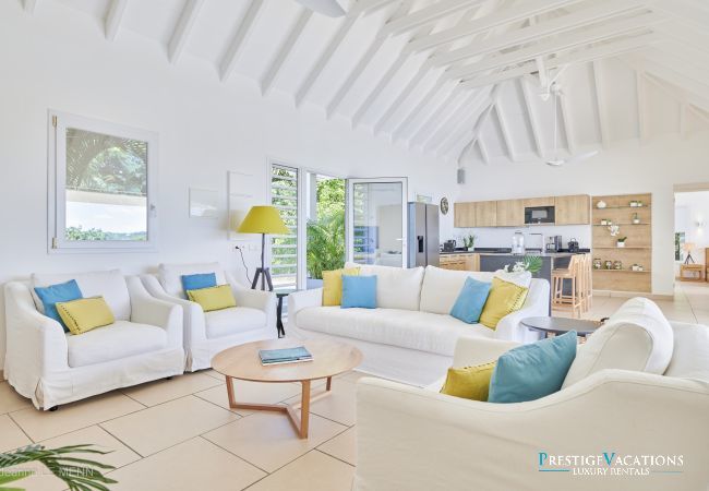 Villa in Saint Barthélemy - Cactus