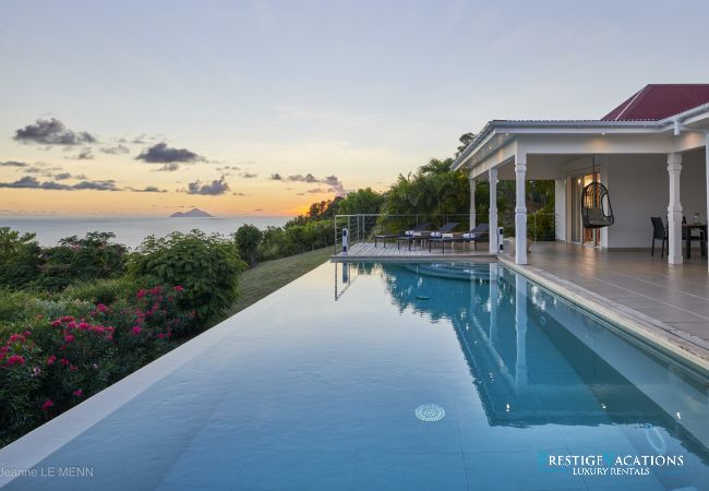 Villa in Saint Barthélemy - Cactus