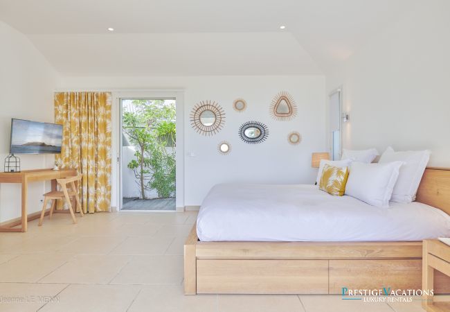 Villa in Saint Barthélemy - Cactus