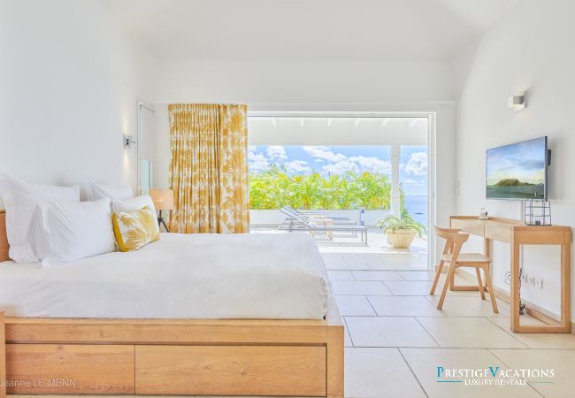 Villa in Saint Barthélemy - Cactus
