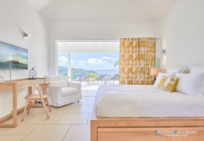 Villa in Saint Barthélemy - Cactus